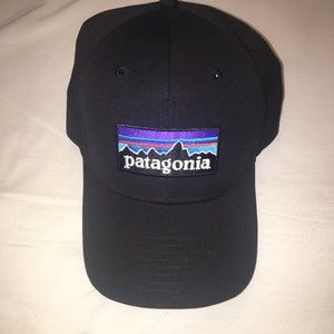 Patagonia snap back hat